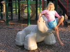 IMG 0376