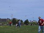 Family Kite Festival